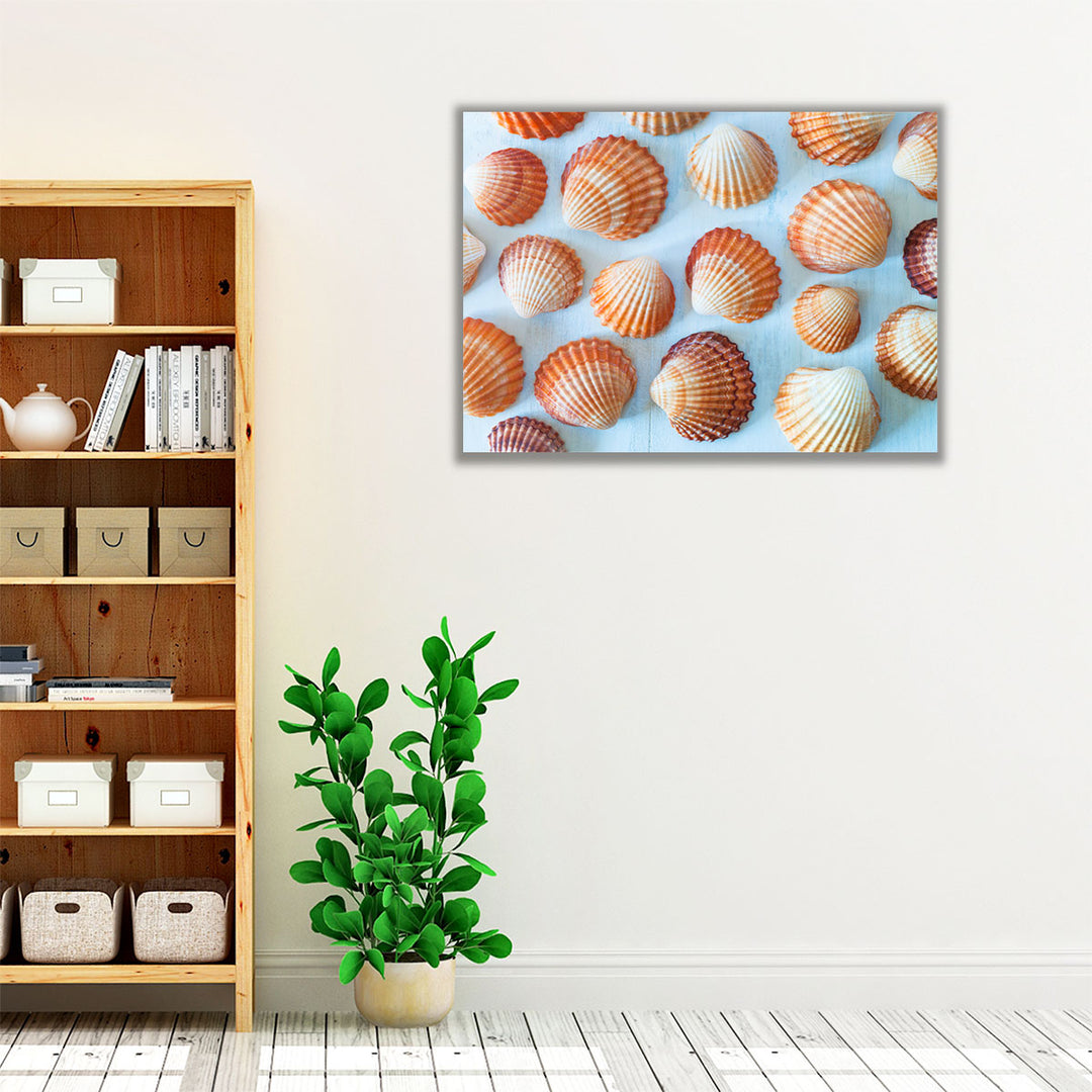 Mass Of Sea Shells - Canvas Print Wall Art