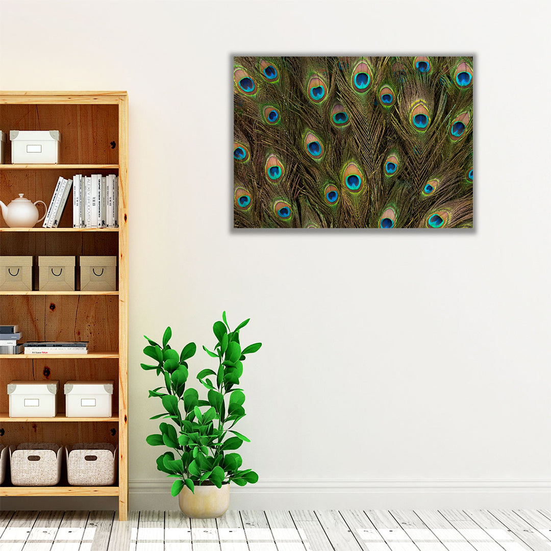 Peacock Feather Close-up - Canvas Print Wall Art
