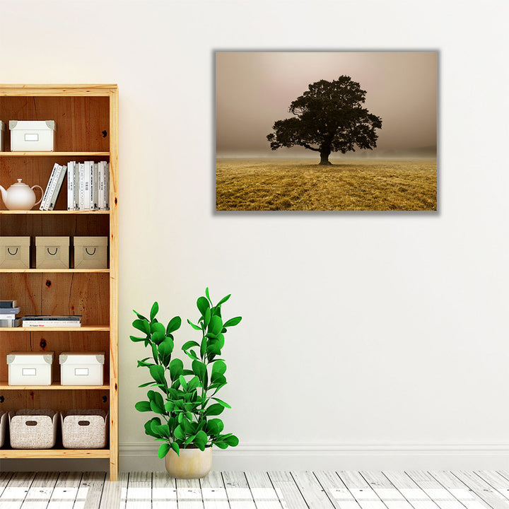 Single Tree In Mist And Fog - Canvas Print Wall Art