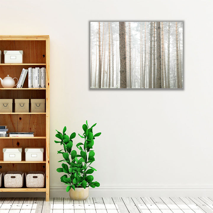 Tree Trunks In Forest - Canvas Print Wall Art