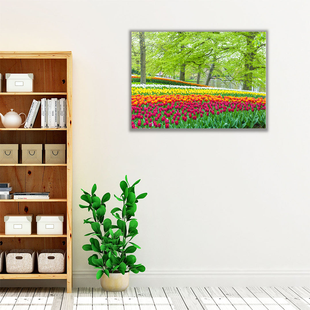 Keukenhof Tulips Garden, Netherlands - Canvas Print Wall Art