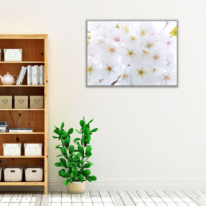 Blossom - Canvas Print Wall Art
