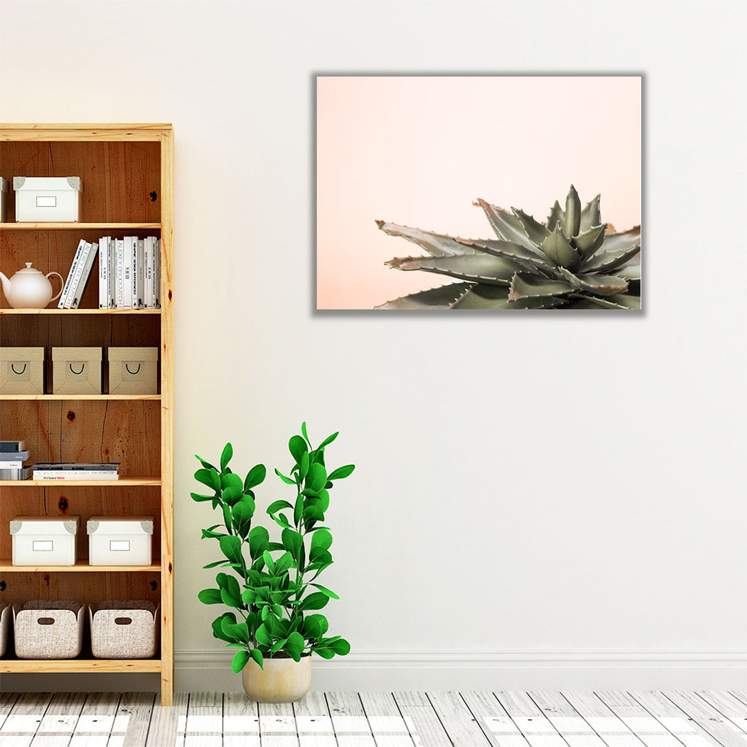 Cactus - Canvas Print Wall Art
