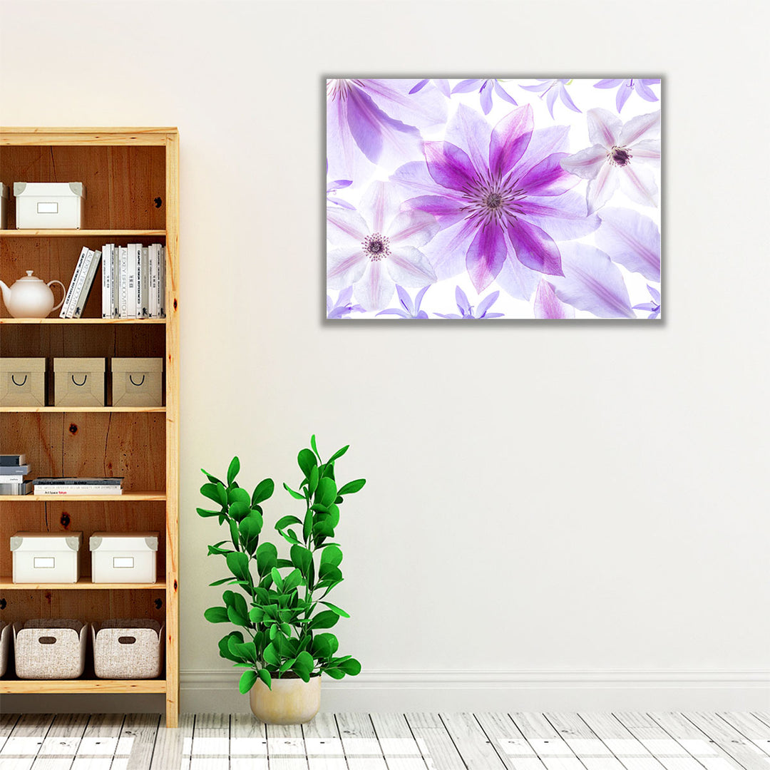 Clematis Flowers II - Canvas Print Wall Art