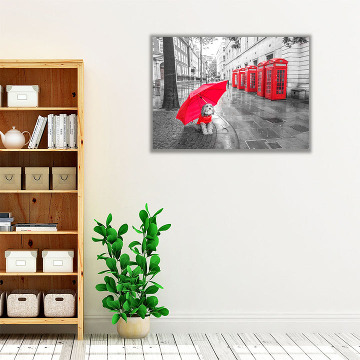 Dog with Umbrella in London - Canvas Print Wall Art