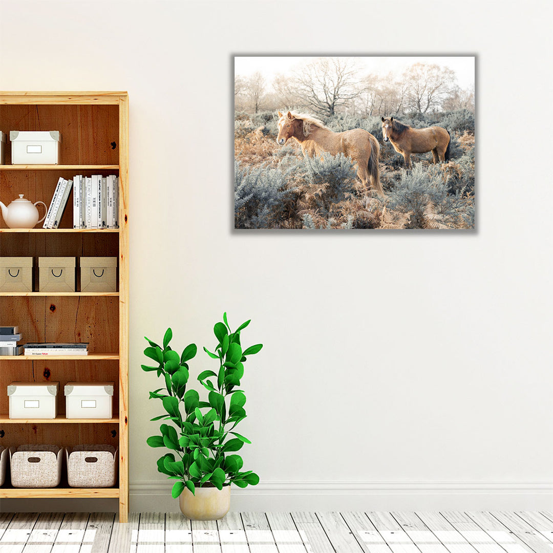 Horses in the Wild - Canvas Print Wall Art