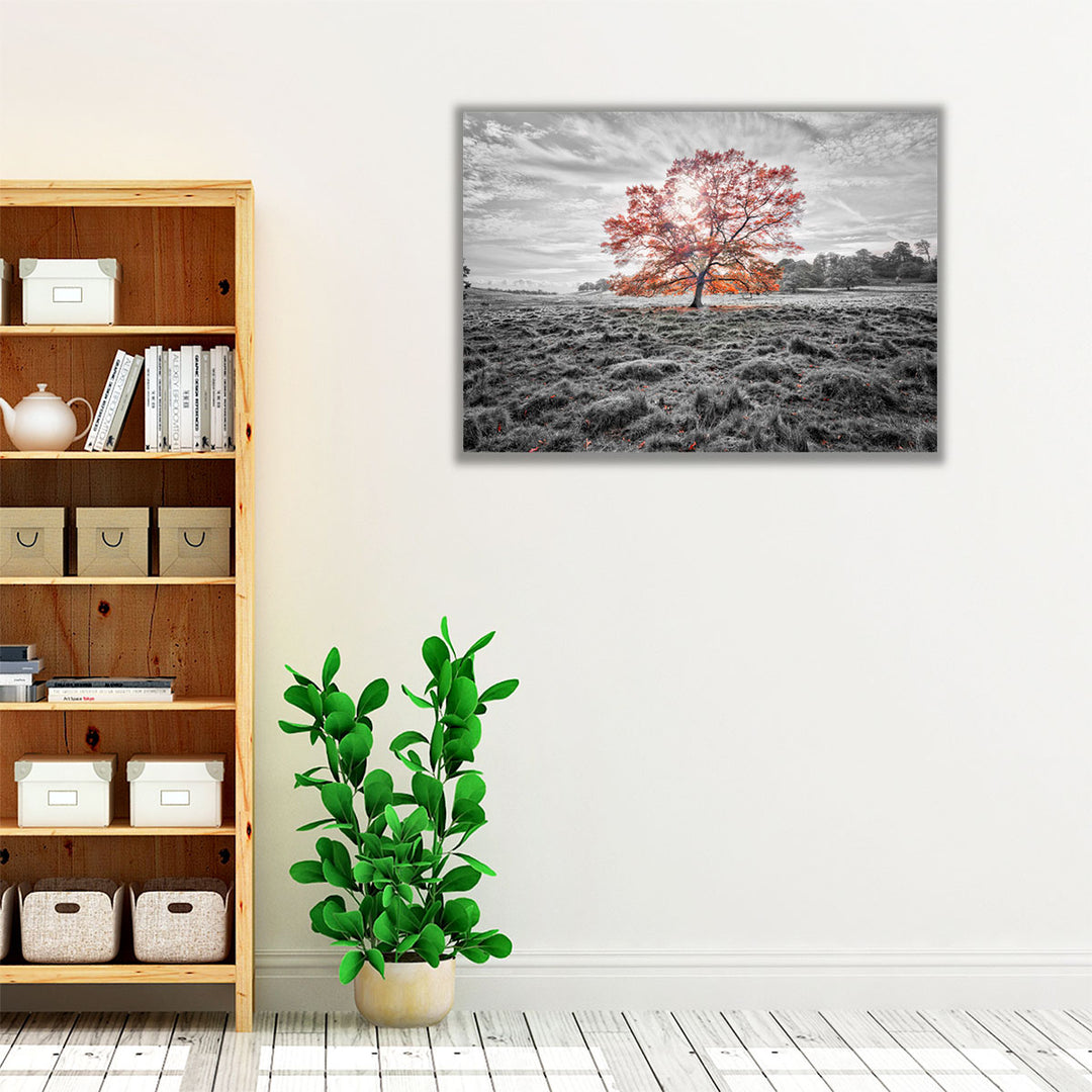 Orange and monochrome tree scene wall decor