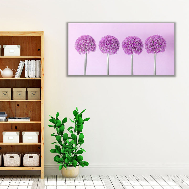 Allium Flowers - Canvas Print Wall Art
