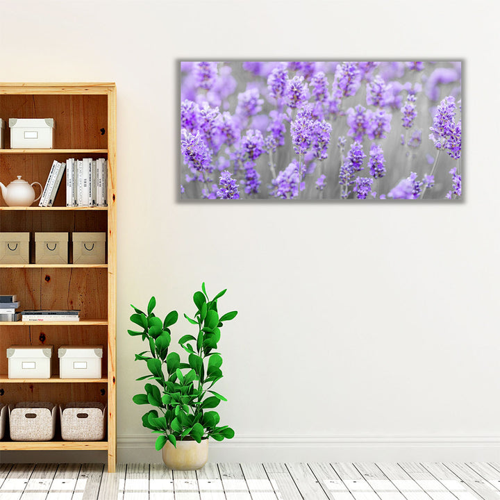 Lavender Farm - Canvas Print Wall Art