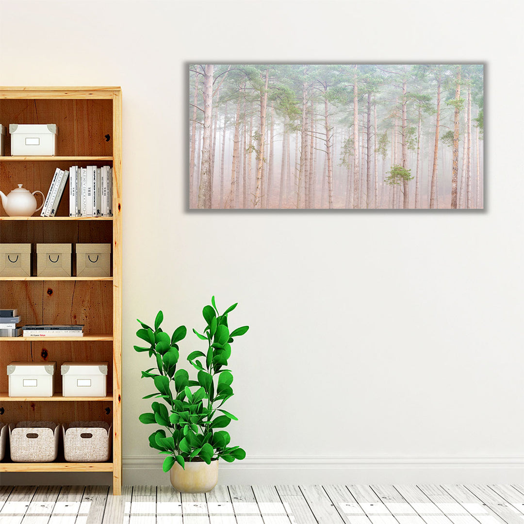 Misty Forest - Canvas Print Wall Art