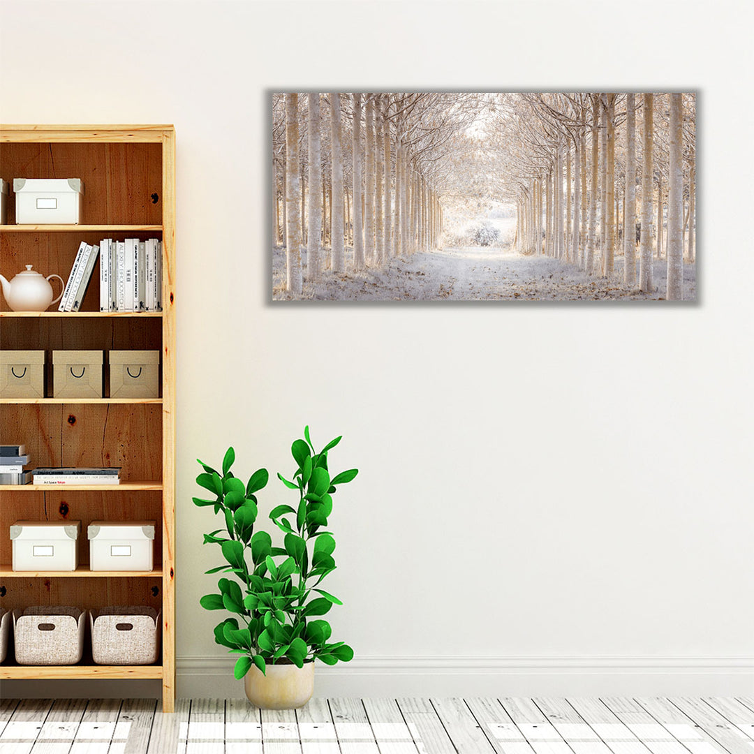 Pathway through Winter Forest - Canvas Print Wall Art