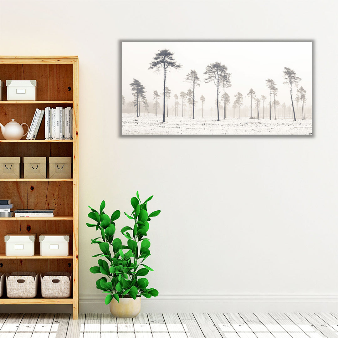 Snowy Forest in Winter - Canvas Print Wall Art