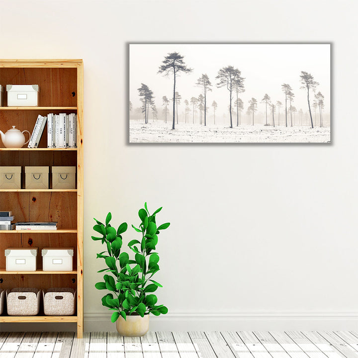 Snowy Forest in Winter - Canvas Print Wall Art