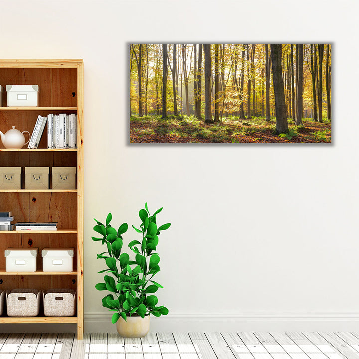 Green forest scene with warm autumn glow