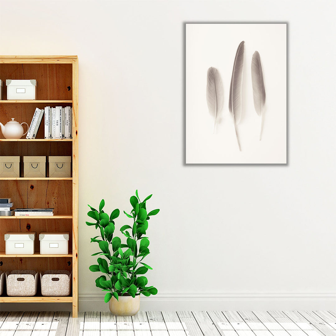 Feather Black And White - Canvas Print Wall Art
