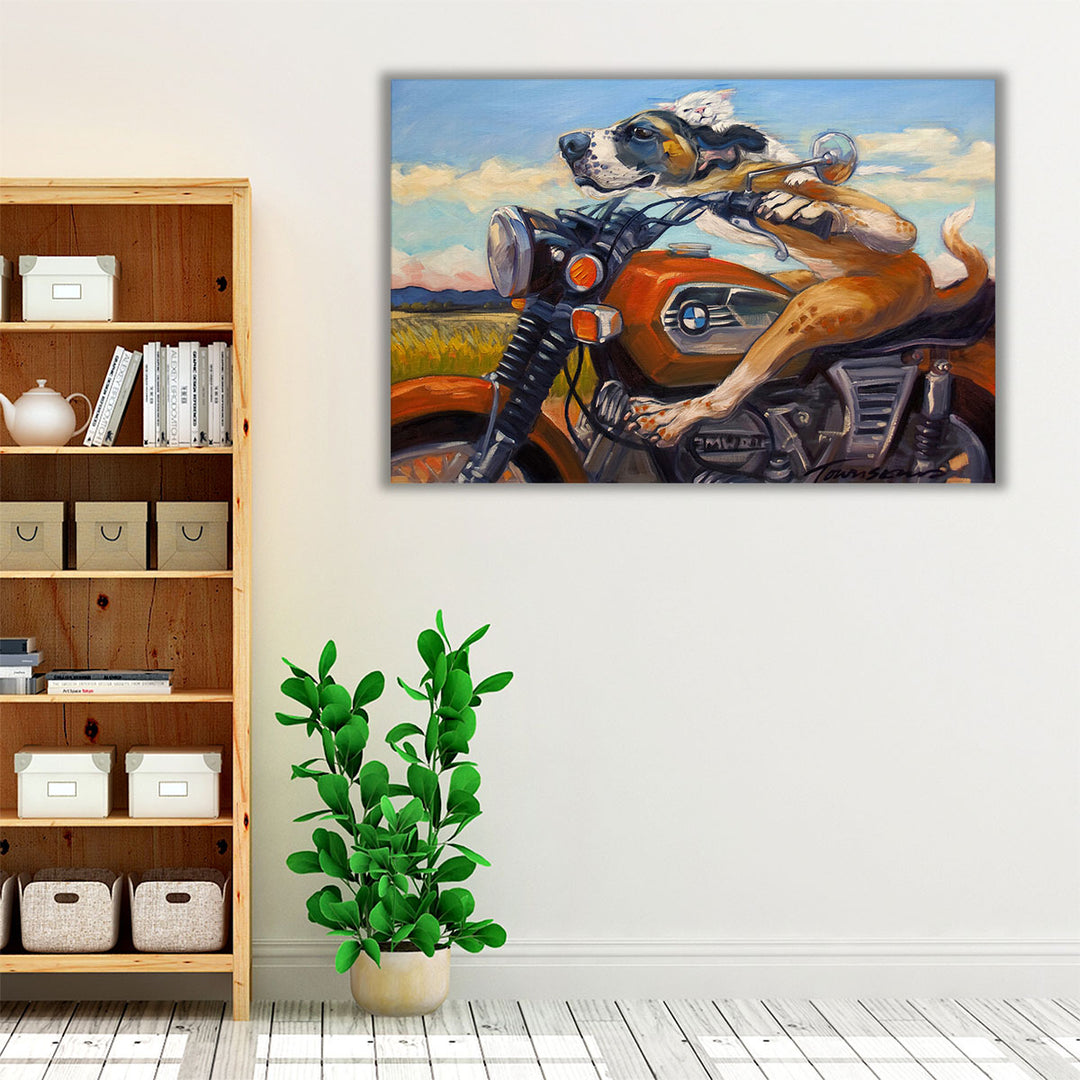 Fast And Furriest - Canvas Print Wall Art