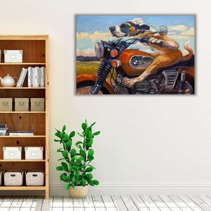 Fast And Furriest - Canvas Print Wall Art