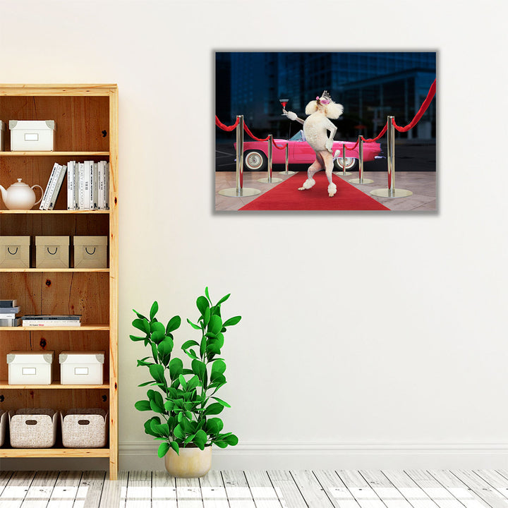 Poodle Premier - Canvas Print Wall Art
