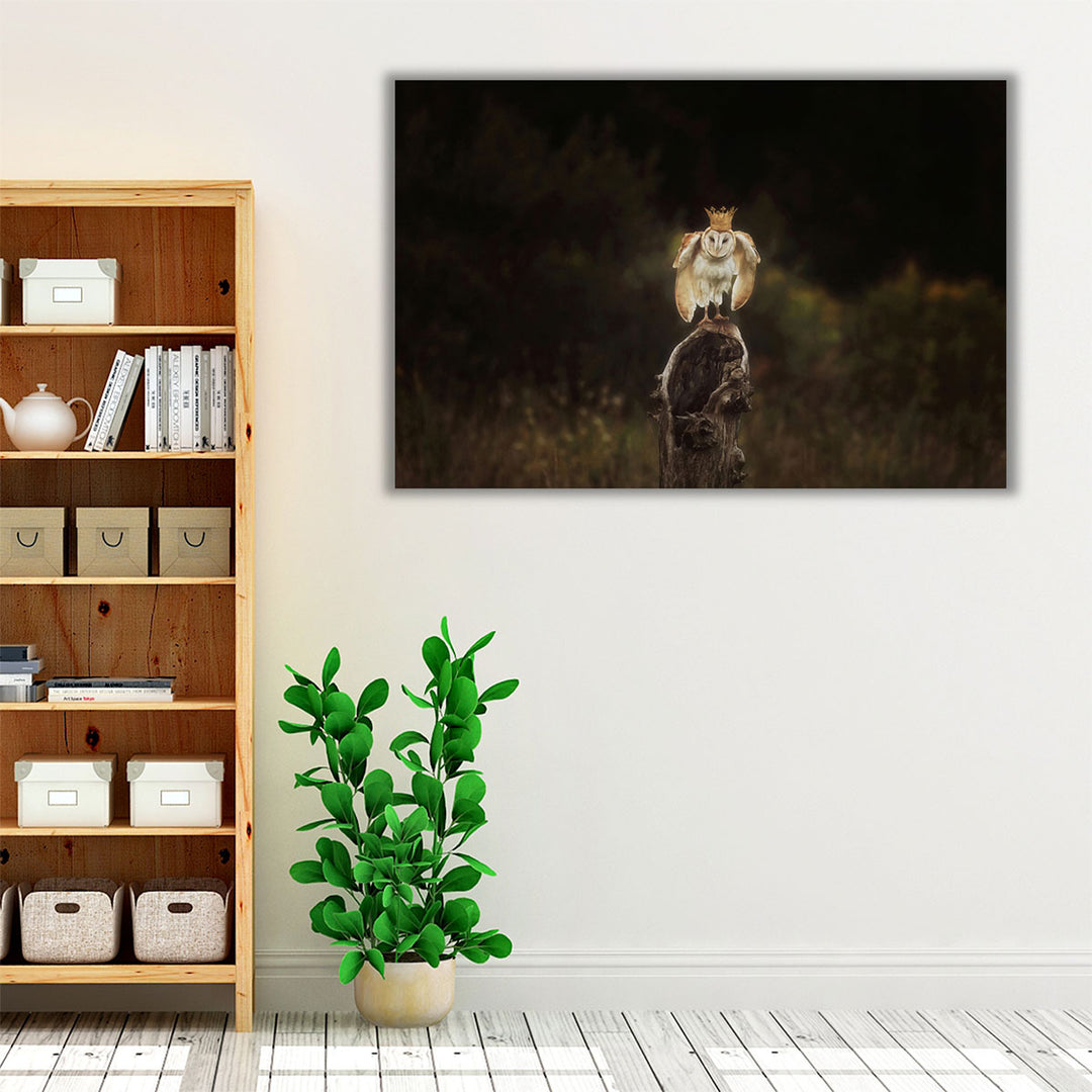 The Owl King - Canvas Print Wall Art