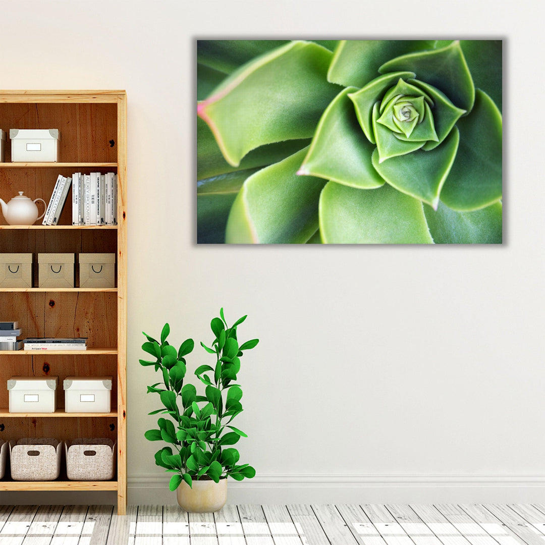 Green minimalist plant wall art living room décor