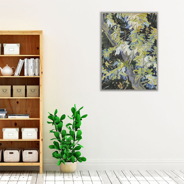 Acacia in Flowers - Canvas Print Wall Art