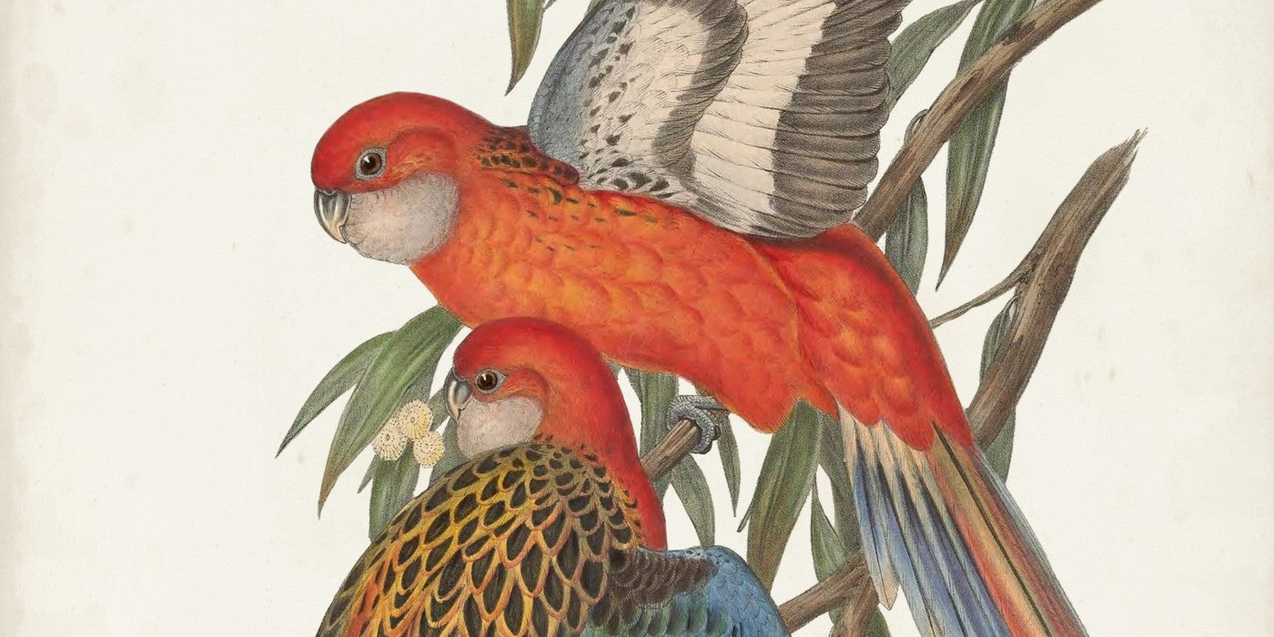 John Gould