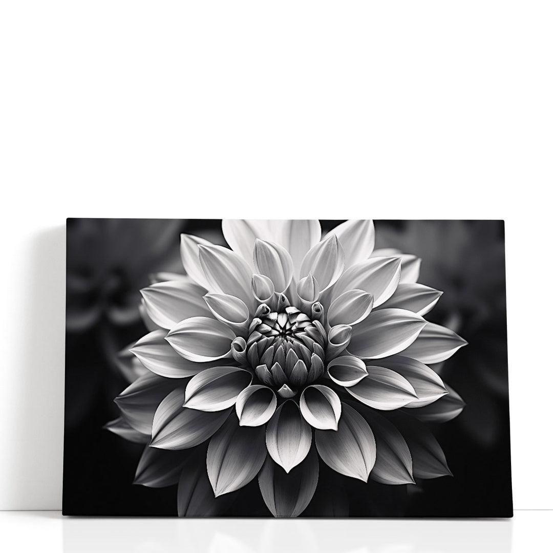 Calming Petal Essence Black and White - Canvas Print Wall Art