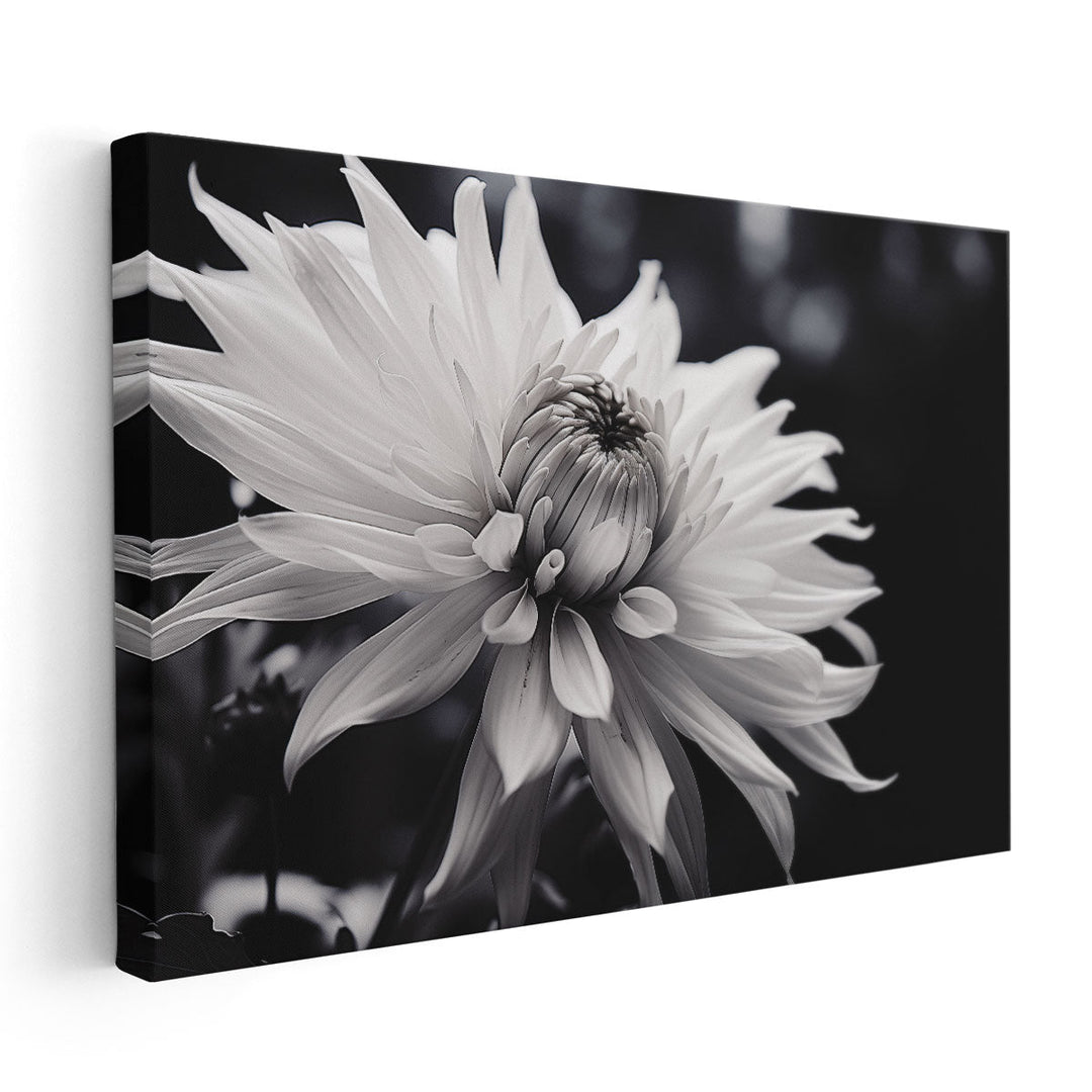 Black and White Bloom - Canvas Print Wall Art