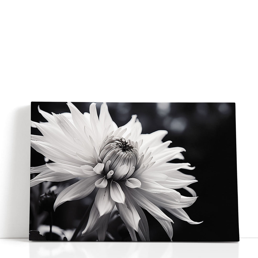 Black and White Bloom - Canvas Print Wall Art