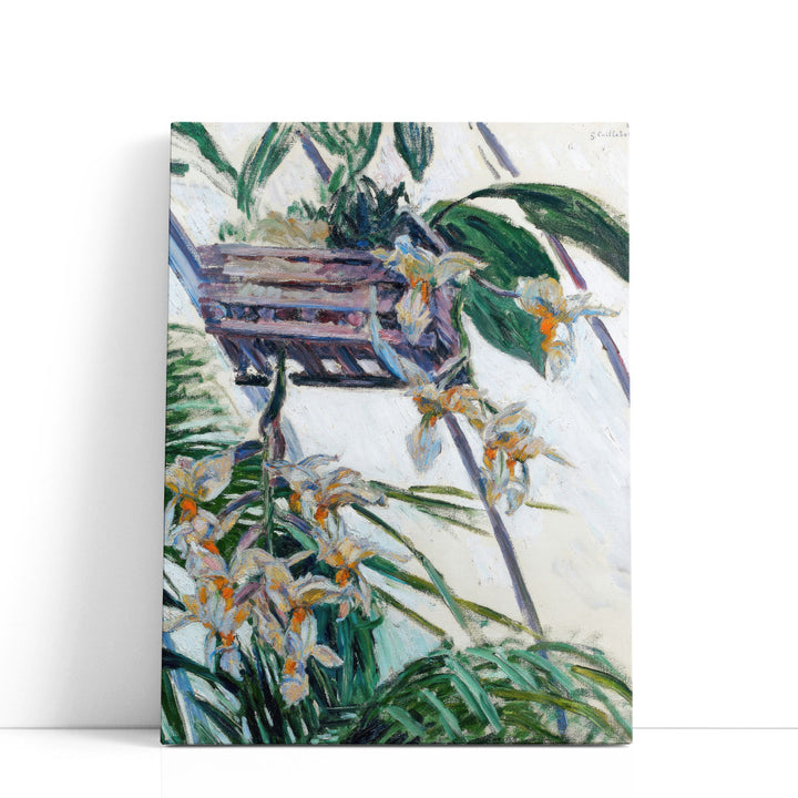 Orchids Gustave Caillebotte - Canvas Print Wall Art