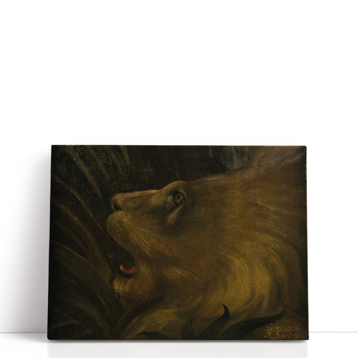 Tete de Lion - Canvas Print Wall Art