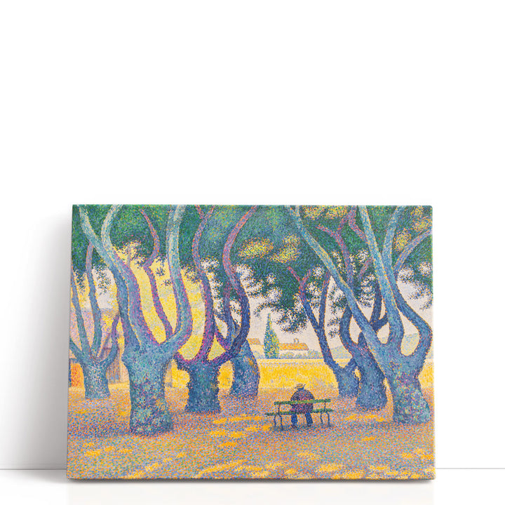 Place des Lices - Canvas Print Wall Art