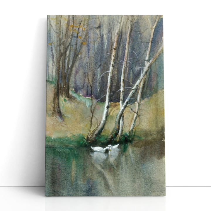 Wood Scene with Birch Trees and Ducks - Canvas Print Wall Art