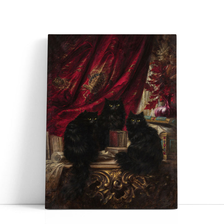 Three Black Cats - Canvas Print Wall Art