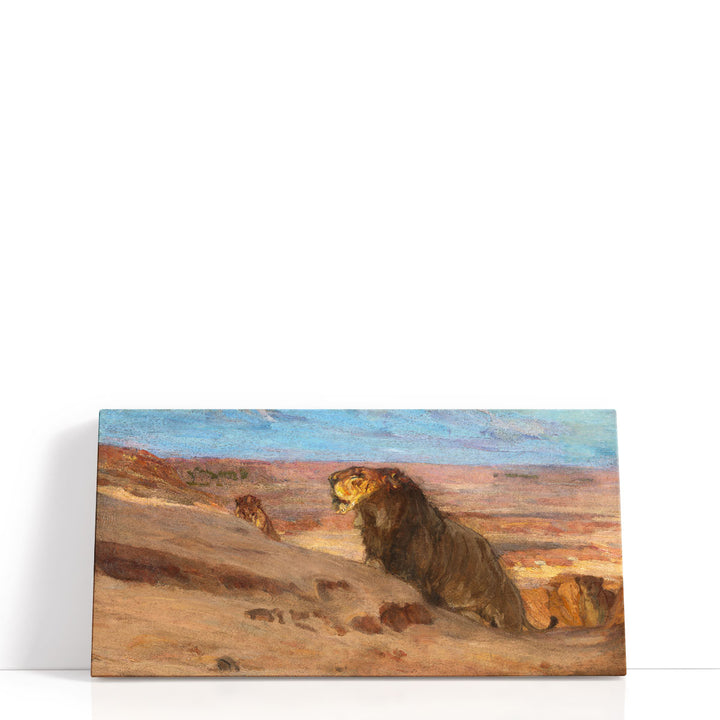 Lions in the Desert  - Canvas Print Wall Art