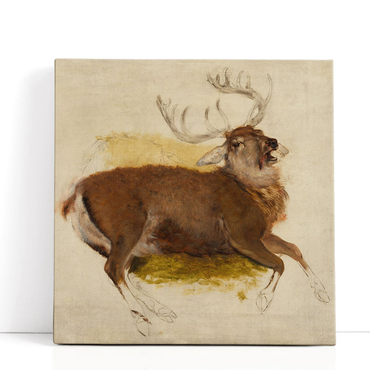 Dying Stag, 1830 - Canvas Print Wall Art