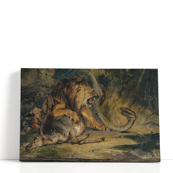 Lion Defending its Prey - Canvas Print Wall Art