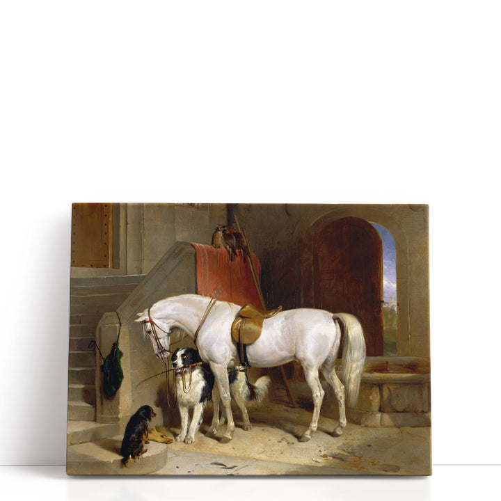 Favourites, the Property of H.R.H. Prince George of Cambridge - Canvas Print Wall Art