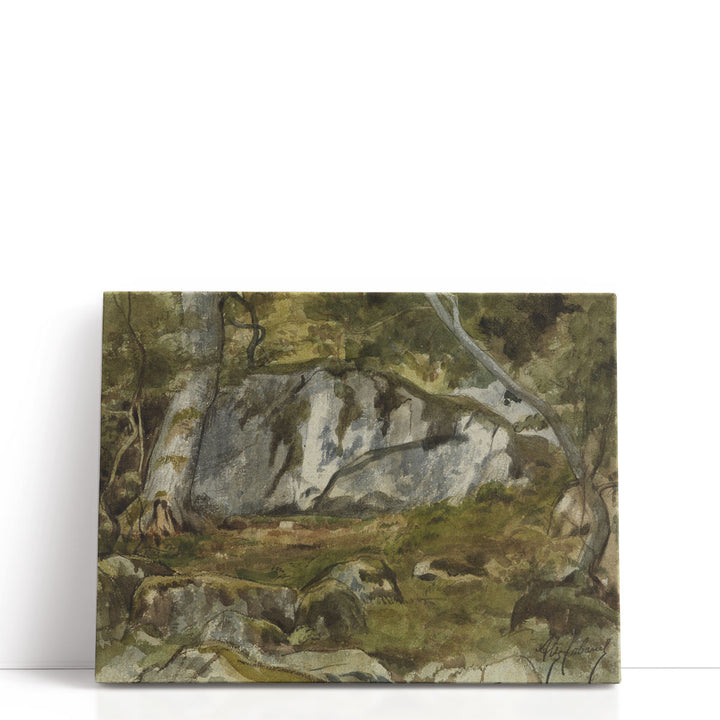 Forest with Boulders - Canvas Print Wall Art