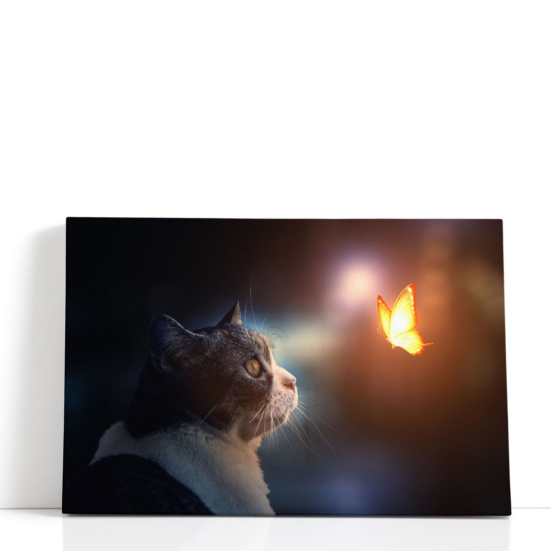 A Cat Looking At A Fantastic Light Butterfly - Canvas Print Wall Art