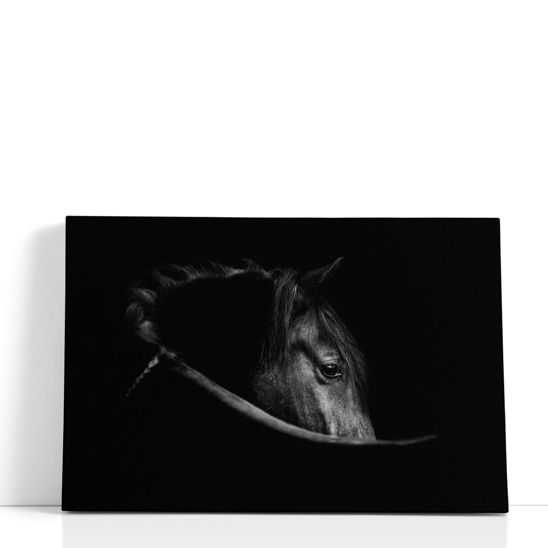 Horse In The Dark, A Minimalist Art - Canvas Print Wall Art