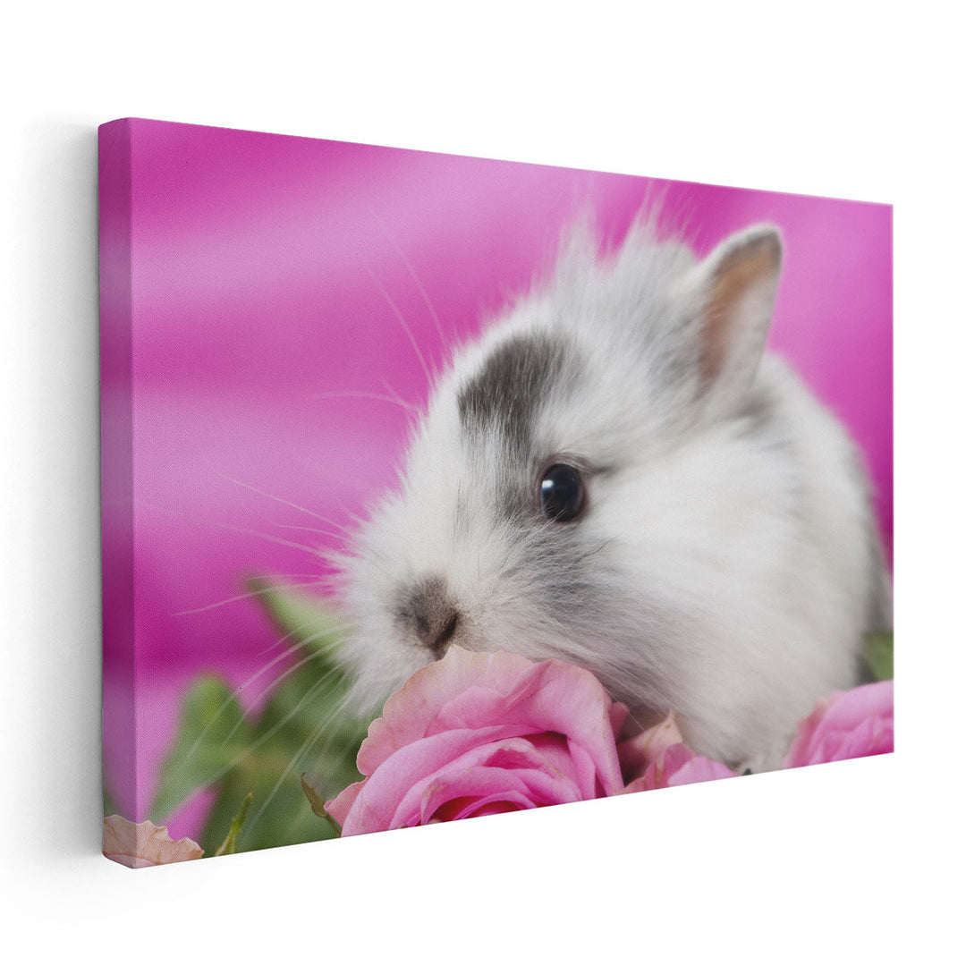 Cute Rabbit With Pink Roses - Canvas Print Wall Art