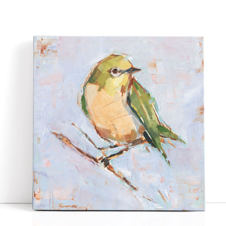 Bird Variety II - Canvas Print Wall Art