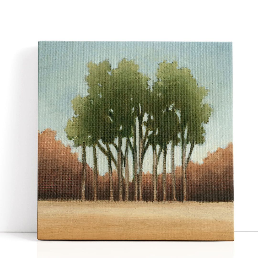 Stand of Trees I - Canvas Print Wall Art