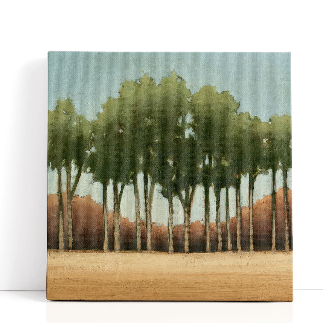 Stand of Trees II - Canvas Print Wall Art