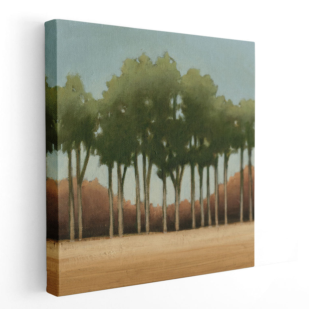 Stand of Trees II - Canvas Print Wall Art