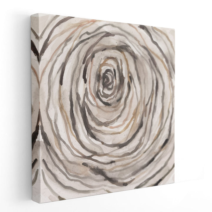 Twisted Branch II - Canvas Print Wall Art