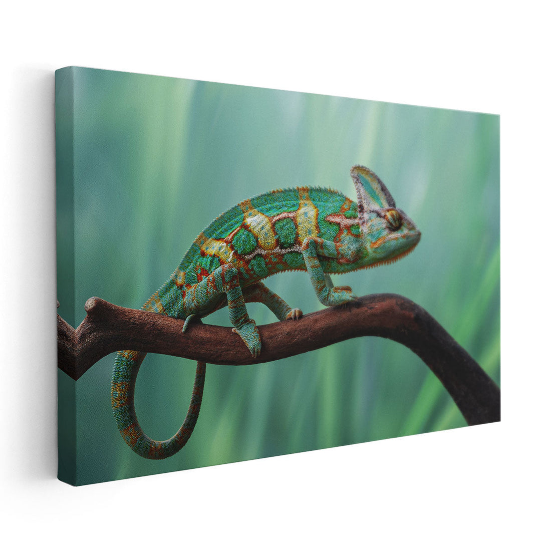 Beautiful Chameleon On The Wood - Canvas Print Wall Art