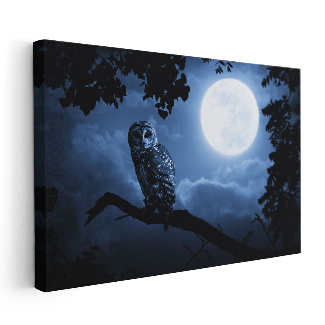 An Owl, Quiet Night, and a Bright Moon - Canvas Print Wall Art