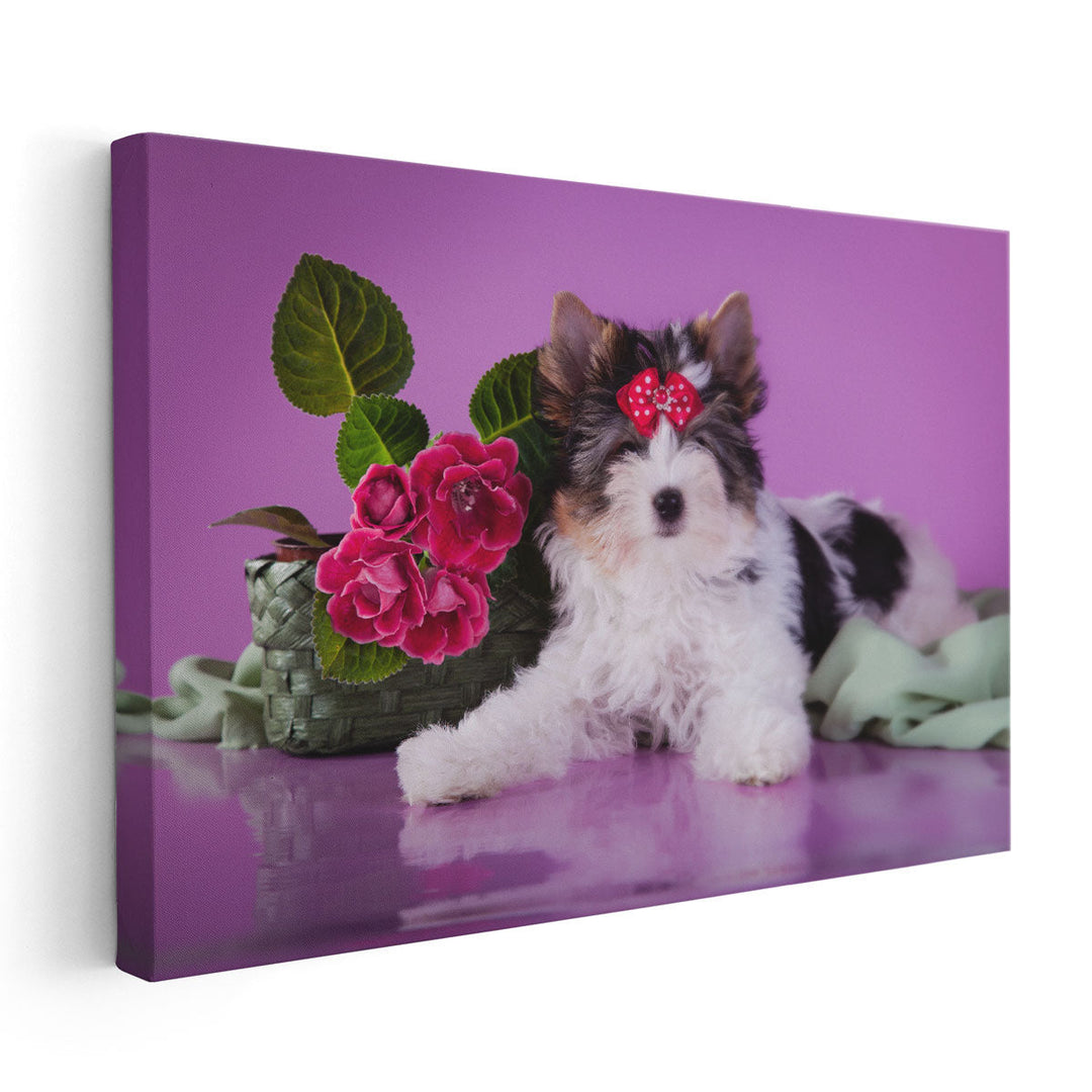 Beaver York Dog With Flowers - Canvas Print Wall Art